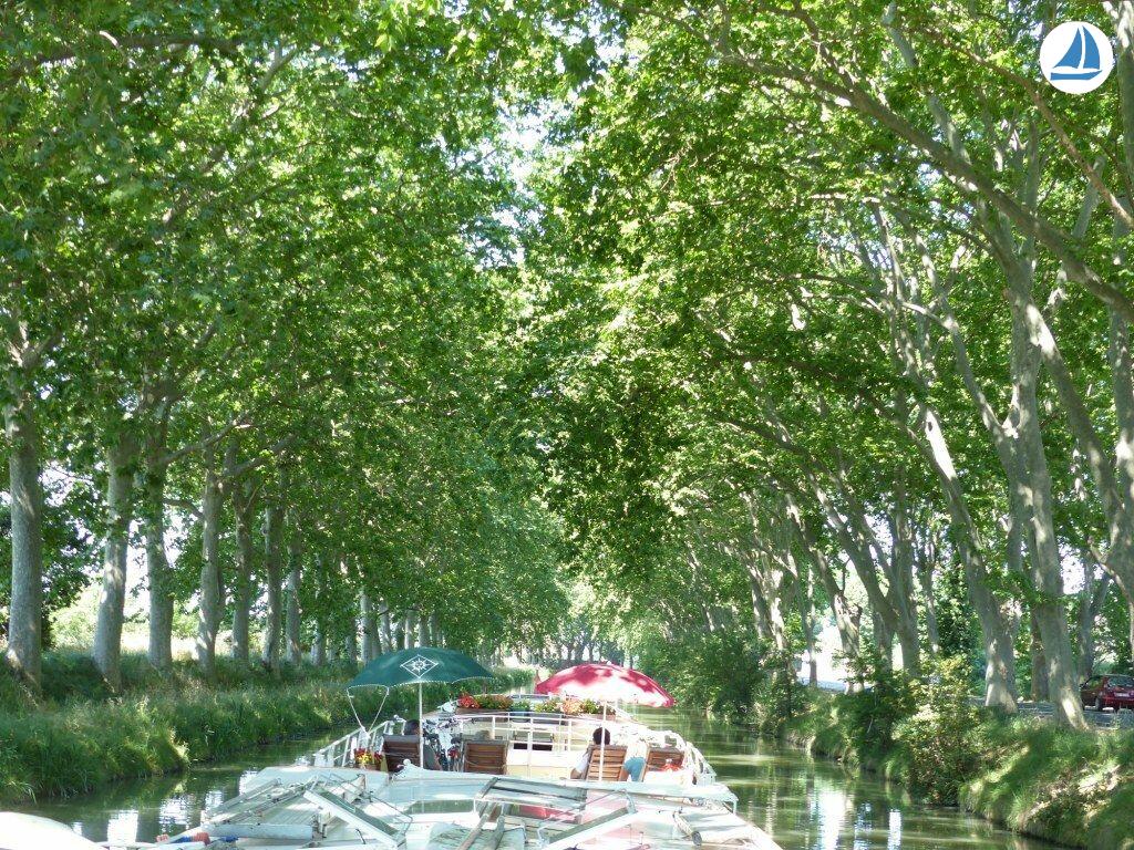 foto Clipper 1894 11