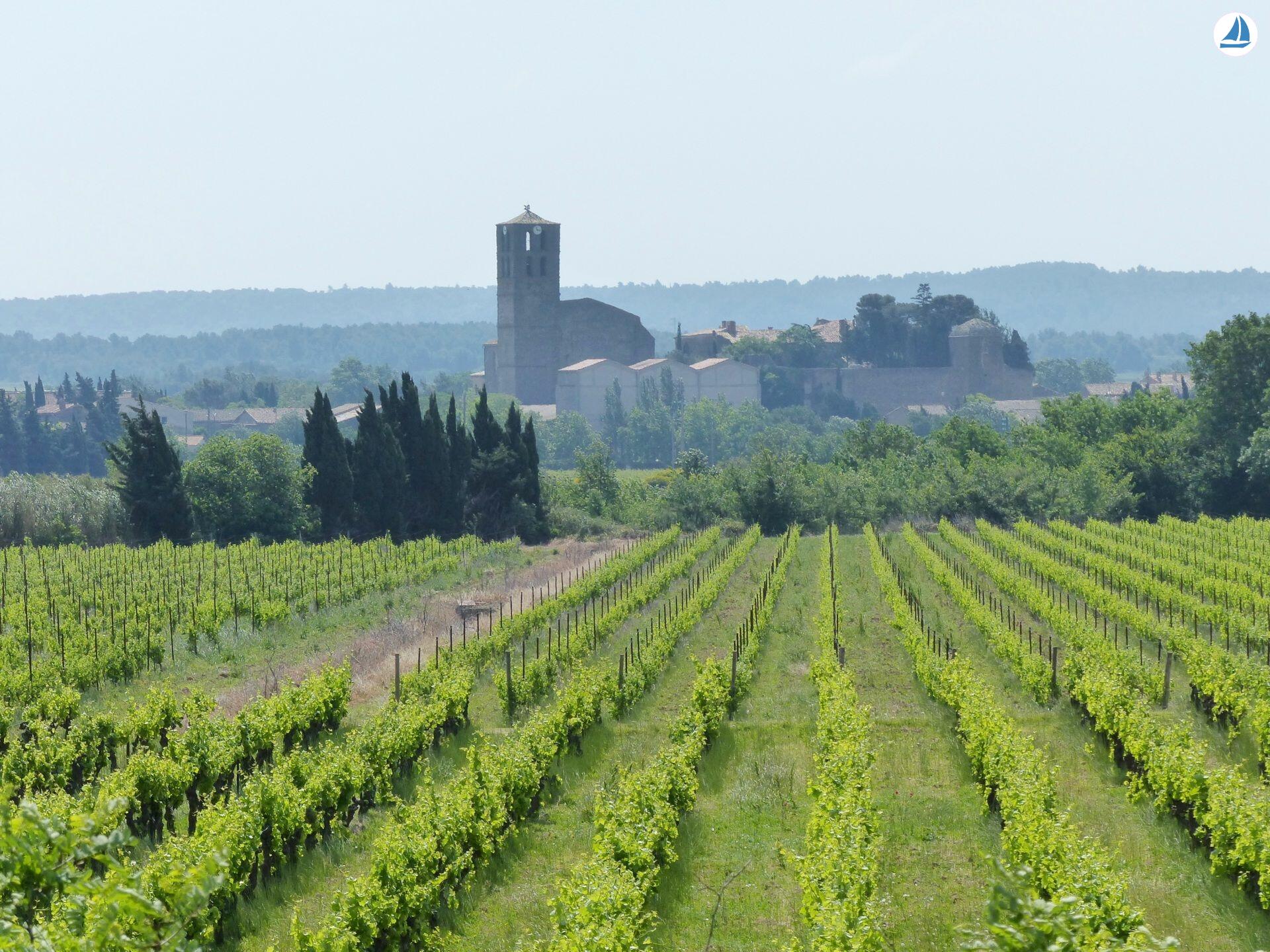 foto Clipper 1894 15