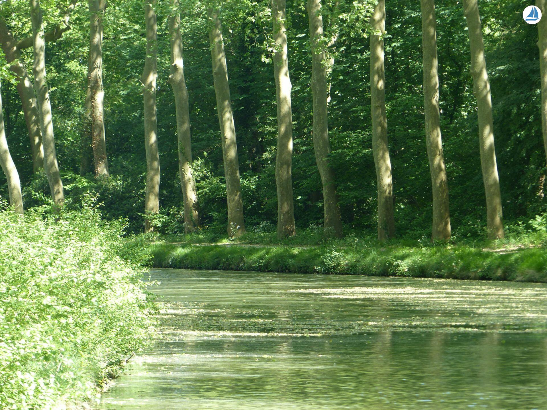 foto Clipper 1894 16