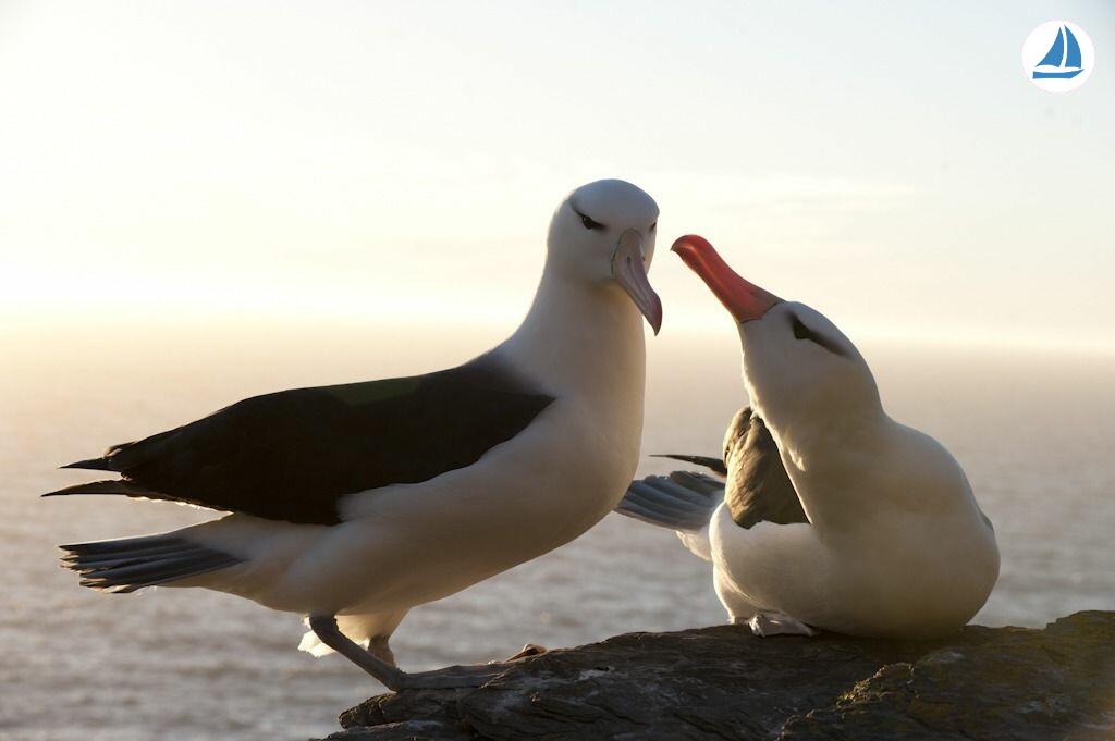 foto Custom 60' Custom 60' 4