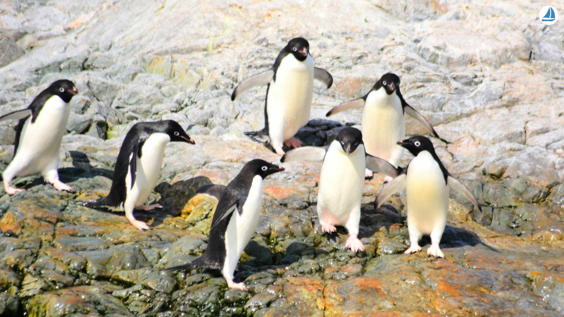 foto Custom 60' Custom 60' 6