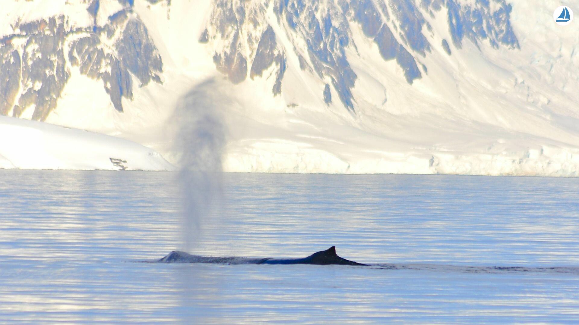 foto Custom 60' Custom 60' 8