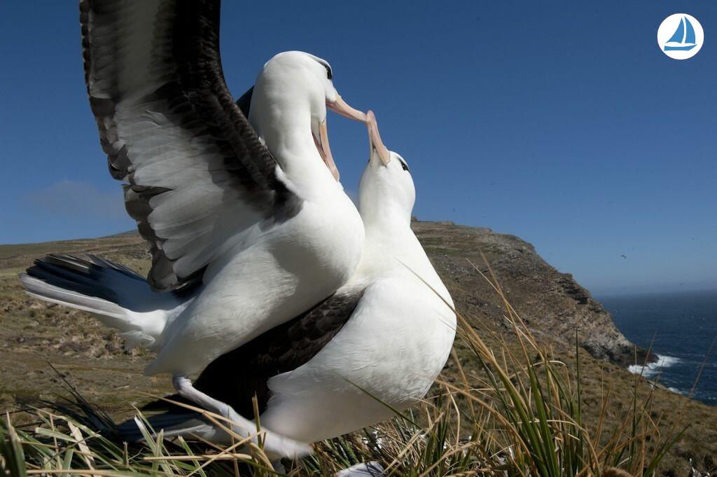 foto Custom 60' Custom 60' 9