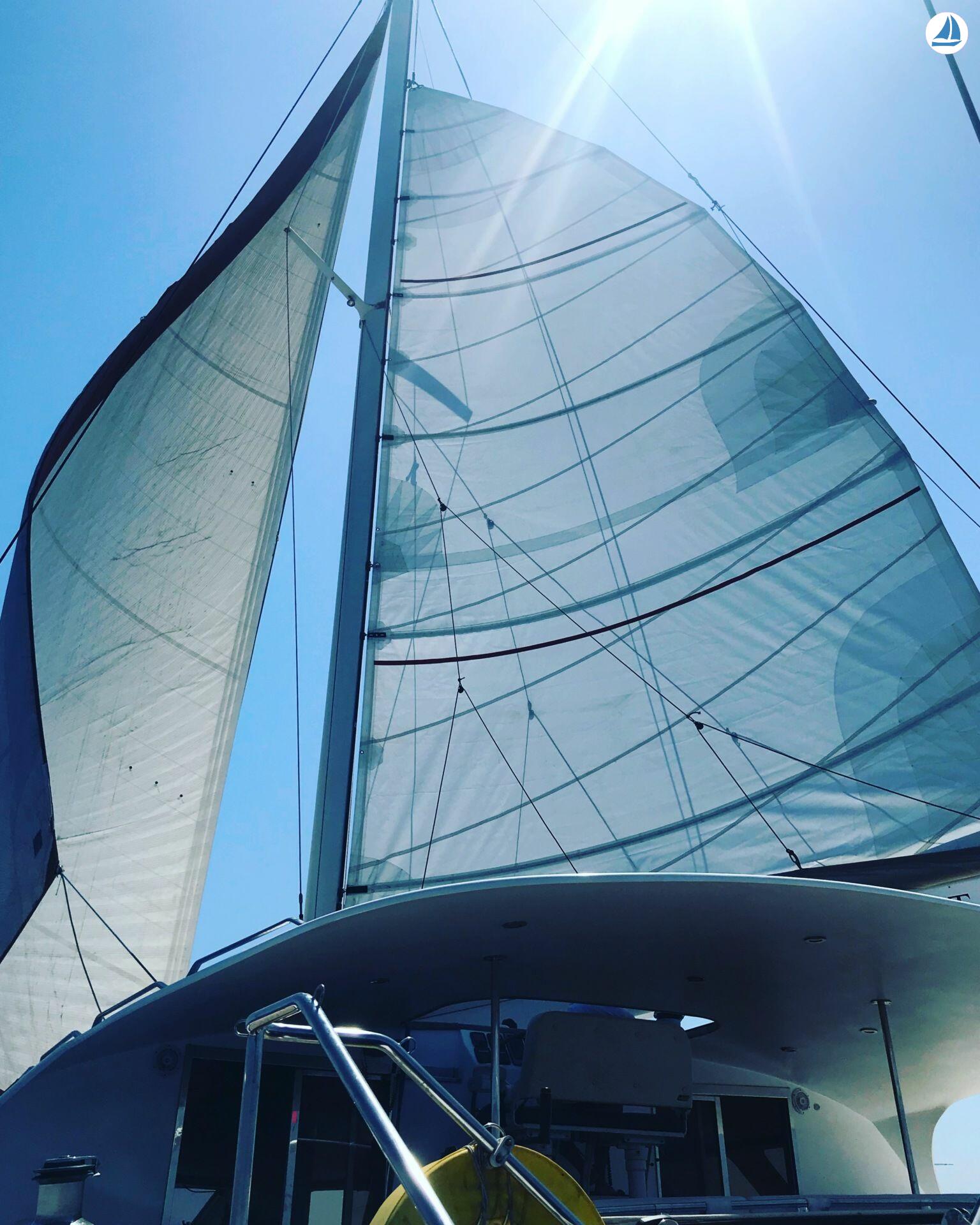 foto Enmar Ambercat 210 20