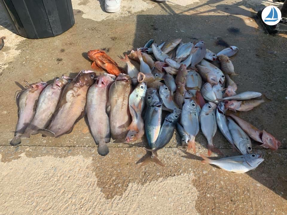 foto Quicksilver 640 Week-end 4